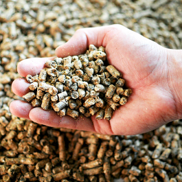 Комбикормовая промышленность